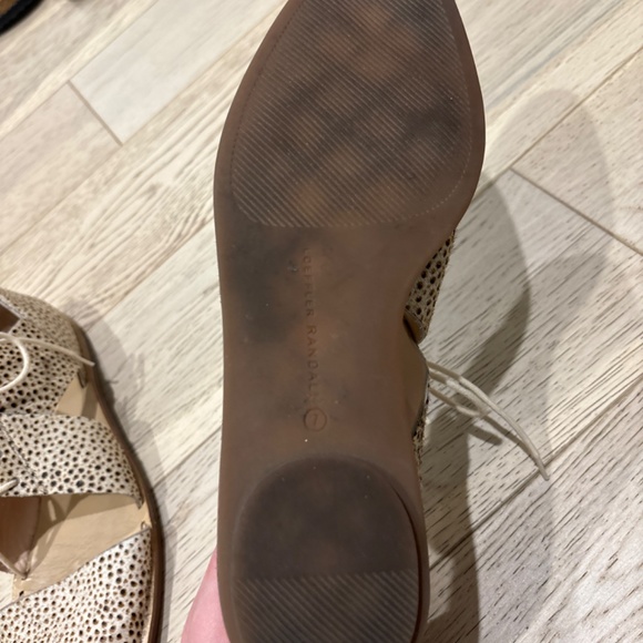 Loeffler Randal Shows - Picture 4 of 5